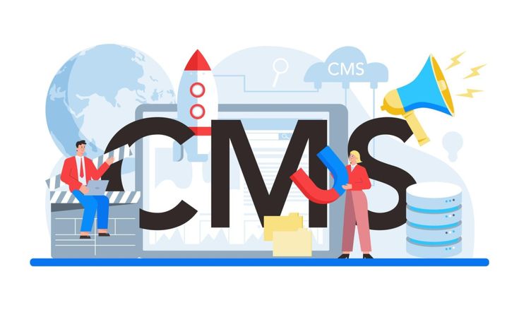 طراح وتوسعه دهنده سامانه های مدیریت محتوا(CMS) 