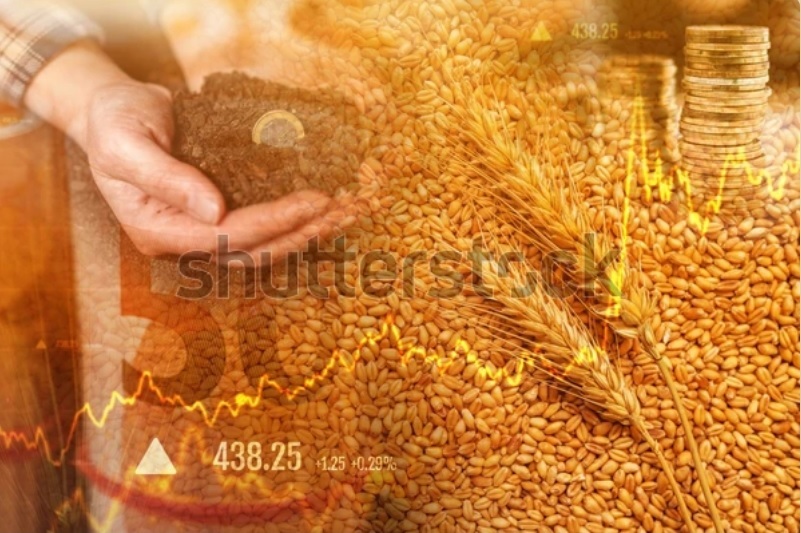 معامله گر بورس های کالایی
